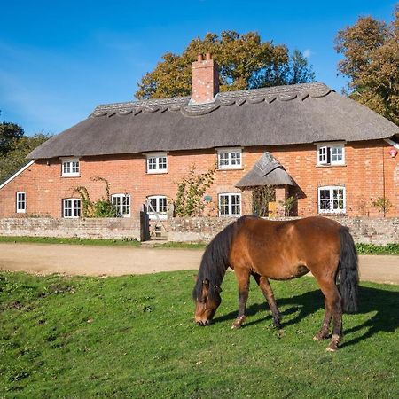 Thatched Cottage Brockenhurst Exterior foto