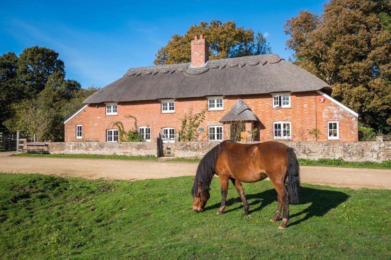 Thatched Cottage Brockenhurst Exterior foto